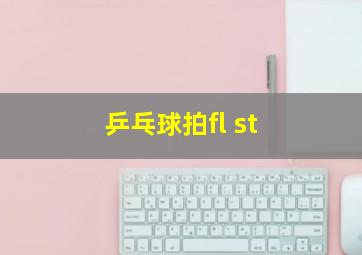 乒乓球拍fl st